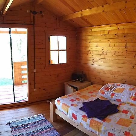 Вилла Retezat Retreat - Wood Cabin Clopotiva Экстерьер фото