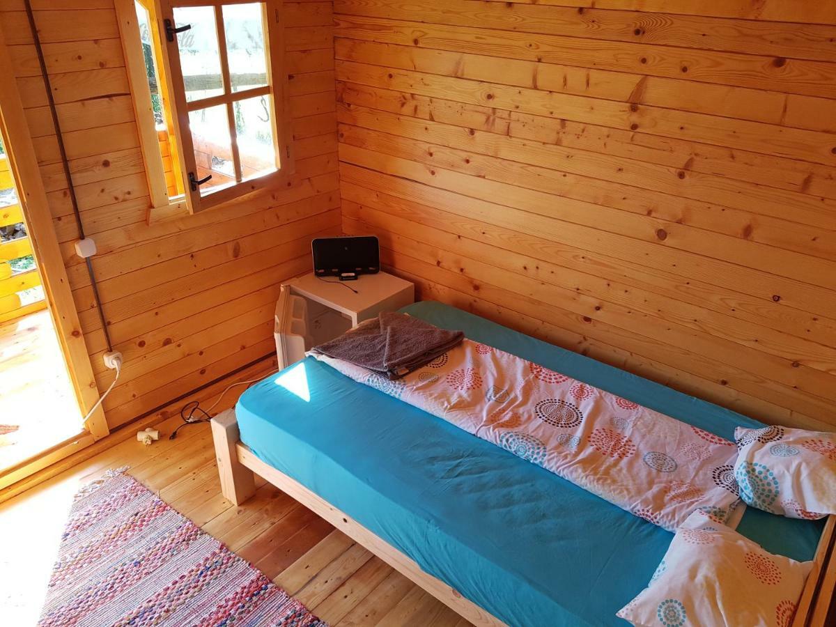 Вилла Retezat Retreat - Wood Cabin Clopotiva Экстерьер фото