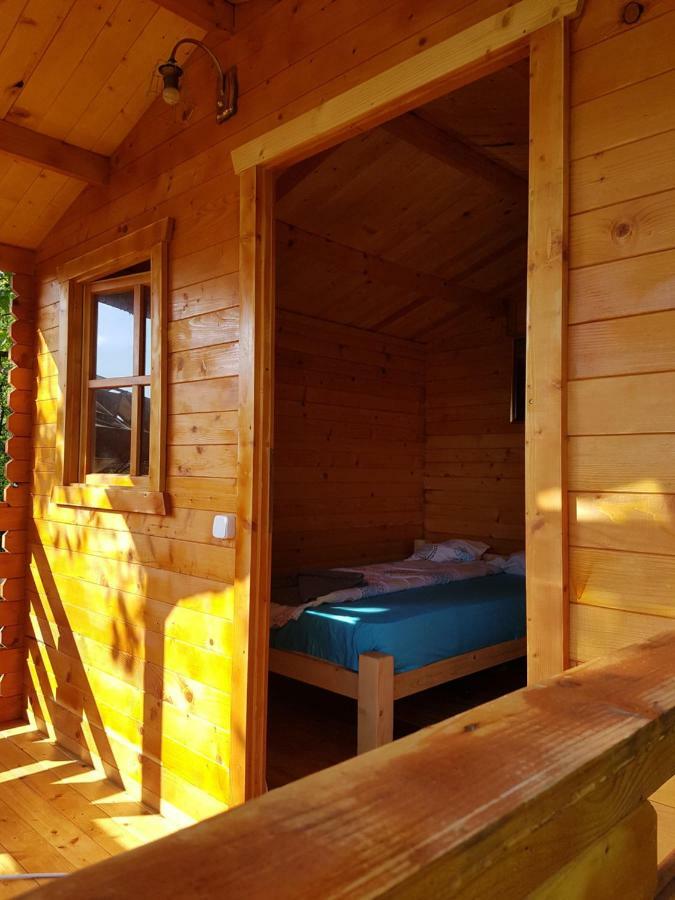 Вилла Retezat Retreat - Wood Cabin Clopotiva Экстерьер фото